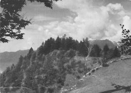 Sull`alpe